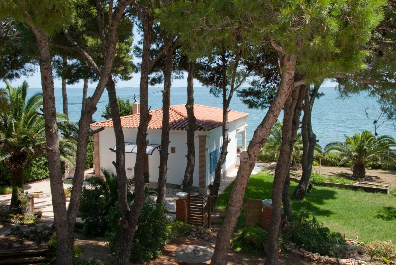 Sargantana Blava Villa ซันต์การ์เลสเดลาราปีตา ภายนอก รูปภาพ
